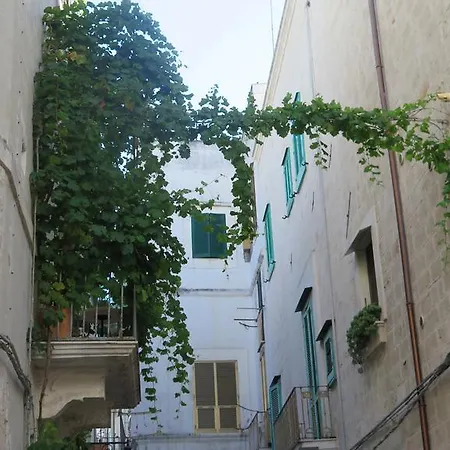 Apartment Carlo V *